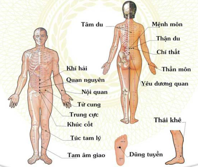 Bấm huyệt chữa đột quỵ: Những điều quan trọng cần lưu ý