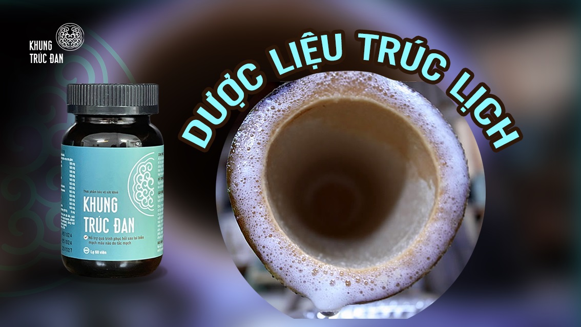 Trúc Lịch – dược liệu Đông y với tác dụng khai khiếu, hóa đàm cho não bộ