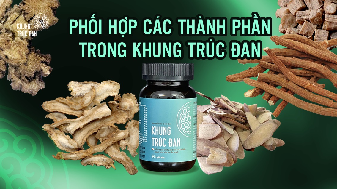 Cơ chế hỗ trợ tuần hoàn não của Khung Trúc Đan qua từng nhóm dược liệu