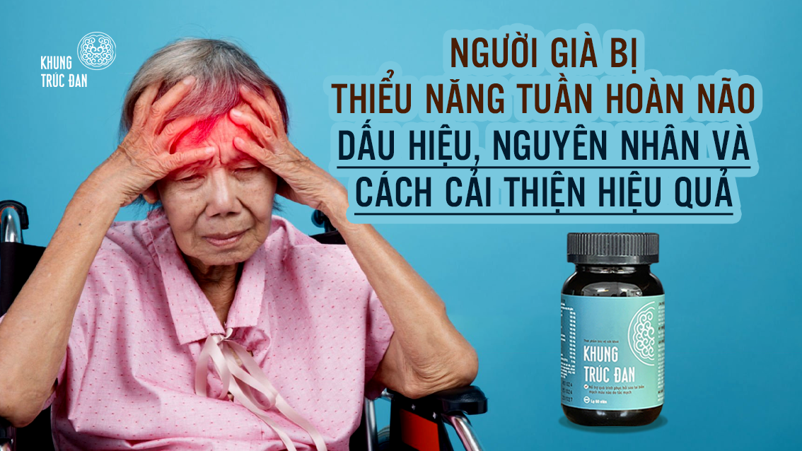 Người già bị thiểu năng tuần hoàn não: Dấu hiệu, nguyên nhân và cách cải thiện hiệu quả